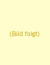 platzhalter